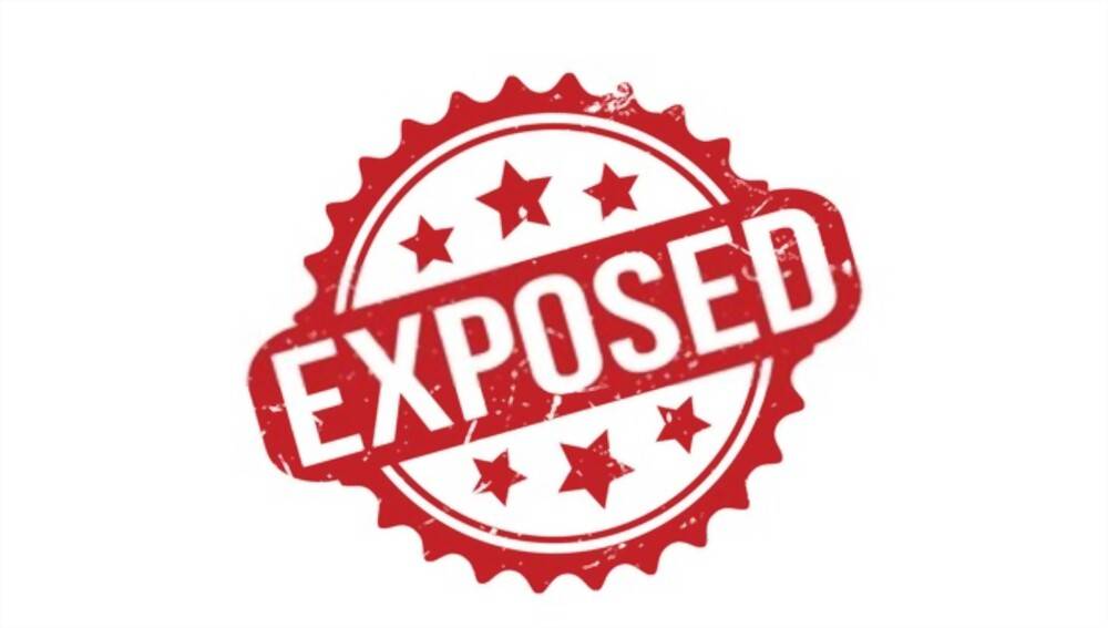 72IG Exposed: How to Make Money With Expertnaire